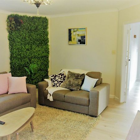 Unique Home - New Windsor House オークランド エクステリア 写真