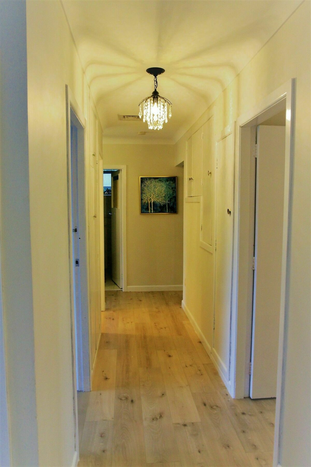 Unique Home - New Windsor House オークランド エクステリア 写真