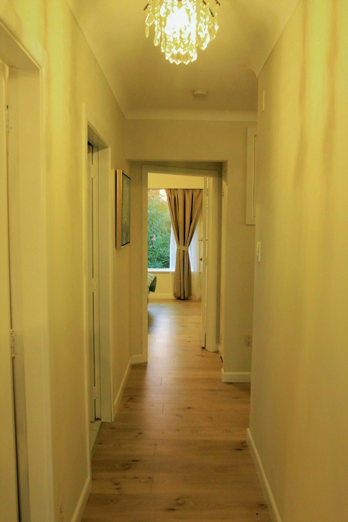 Unique Home - New Windsor House オークランド エクステリア 写真